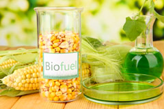 Ferryden biofuel availability